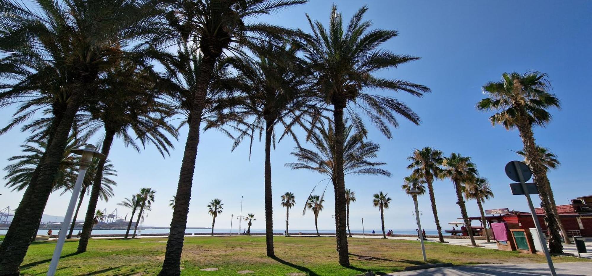 Paloma Beach Malaga Bagian luar foto